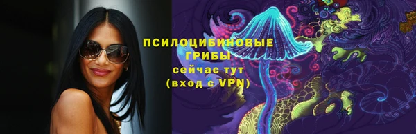прущие крисы Верея