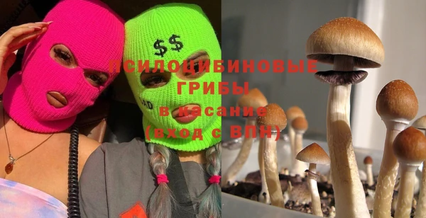 MDMA Premium VHQ Верхний Тагил
