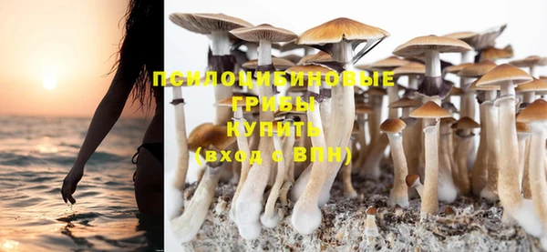 MDMA Premium VHQ Верхний Тагил
