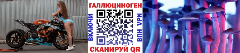 где найти наркотики  Брянск  Галлюциногенные грибы прущие грибы 
